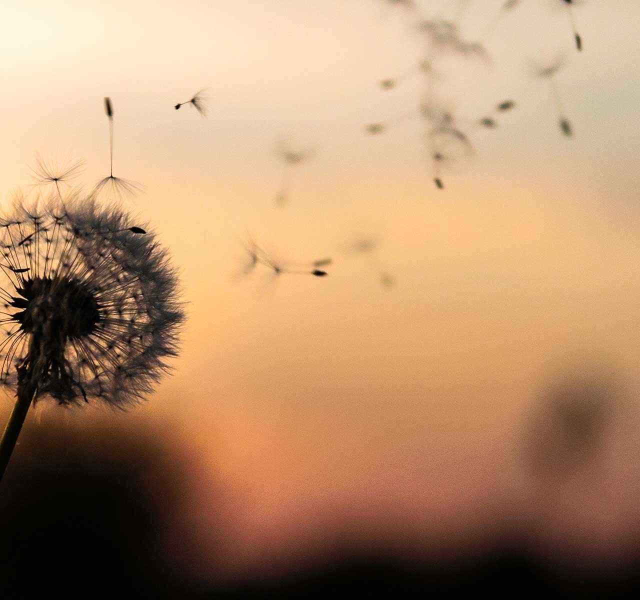 https://leapconsulting.co.ke/wp-content/uploads/2018/09/post_02-1280x1200.jpg